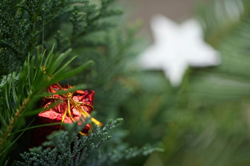 Green Gifting Solutions