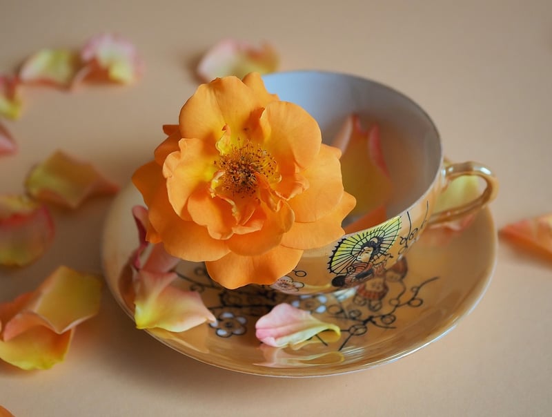 Teacup planter